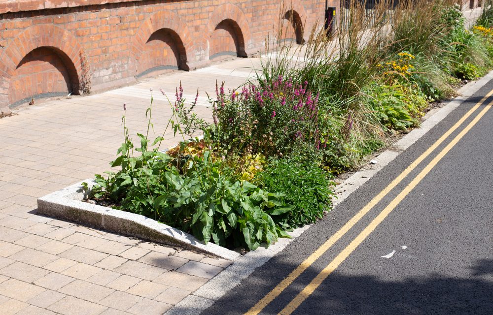 Understanding Sustainable Drainage Systems (SuDS)